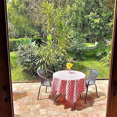 Hacienda El Pinar Del Viento Bed & Breakfast Villa de Leyva Dış mekan fotoğraf